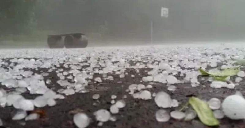 Severe hailstorm batters Meghalaya; CM Sangma directs officials to ensure relief & assistance