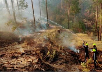 Arunachal Pradesh: IAF helicopters drops 1.62 lakh litres of water to fight forest fire in East Siang